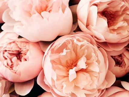 Grace + Gratefulness