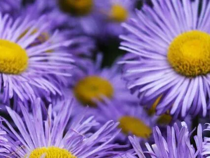 Grace Is All Around Us