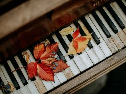 Grace is your Destiny | Nature Sounds, Piano, Crystal Bowls