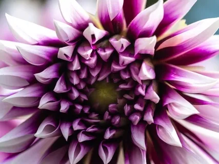 G.R.A.C.E. Practice For Self Care