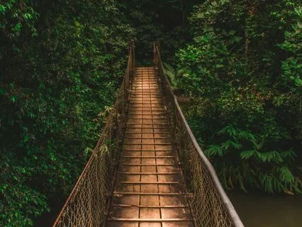 Grace When The World Isn't How We Want It