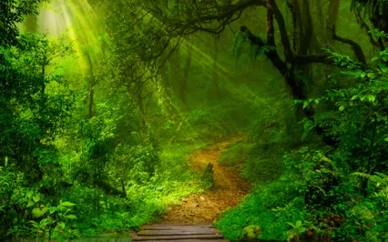 Gracias - Solfeggio Sound Healing Journey By Steffen Ki