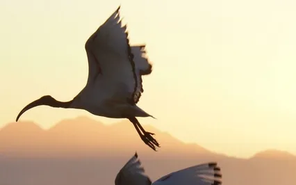 Gracious Space And Grace