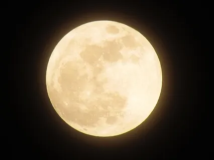 Gradual Relaxation Meditation To Disconnect & Sleep Deeply In 5 Minutes