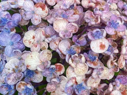 Grains of Sand In Life