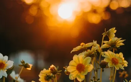 Grand Rising: Embrace A Brand New Day With A Clean Slate