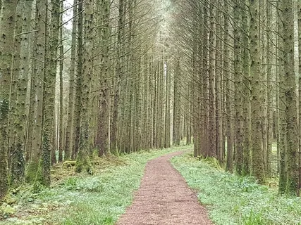 Grand Rising (Instrumental)