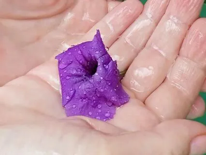 Grateful And Awake! Morning Gratitude Meditation