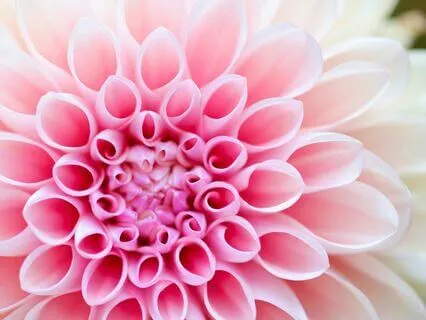 Grateful Beginnings: A Prayer For A New Day