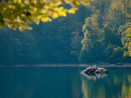 Grateful Body Awareness Meditation