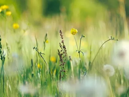 “Grateful For Life – Embracing Every Moment”