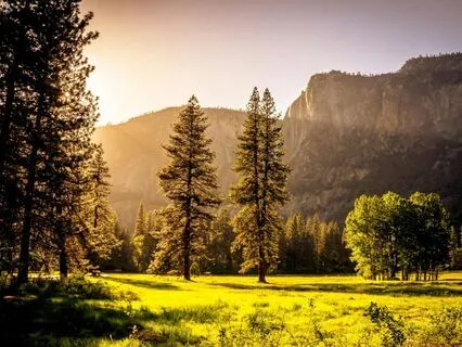 Grateful For The Gift Of Today: Morning Subliminal