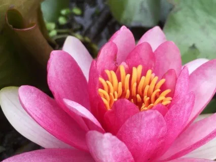 Grateful For The Simple Things