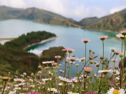 Grateful for the Small Things Meditation