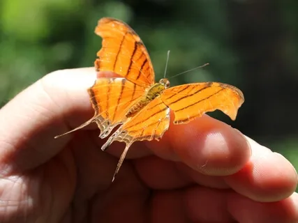 Grateful Heart: Meditation To Cultivate Gratitude