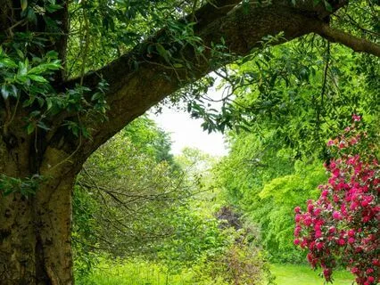 Grateful Heart, Peaceful Mind Meditation