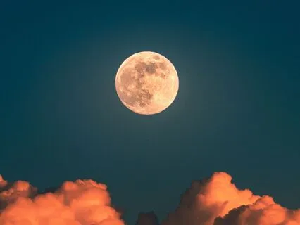 Grateful Heart: Unlock Daily Joy And Peace