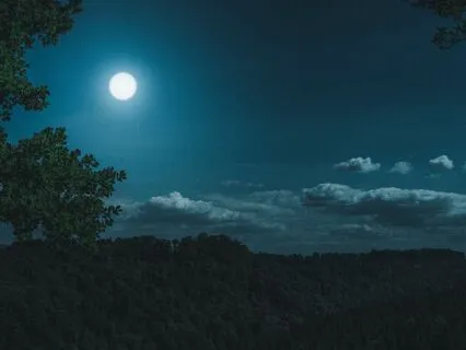 End Your Day With Gratitude And Deep Sleep