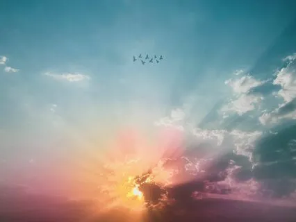 Gratefulness • A Moment Of Divine Connection & Relaxation