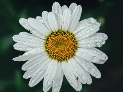 Gratefulness And How It Has Saved My Life