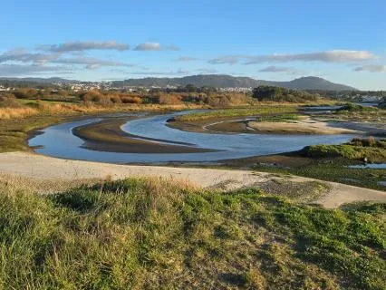 Gratidão Como Hábito Feliz