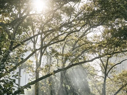 Gratitude - 11 Things To Be Grateful For