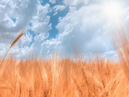 Gratitude Practice For Happiness