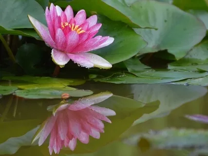 Gratitude - A Series On The Attitudes Of Mindfulness (Week 6)