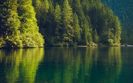 Gratitude Affirmation Meditation