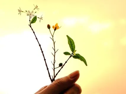 Gratitude Affirmations For Abundance