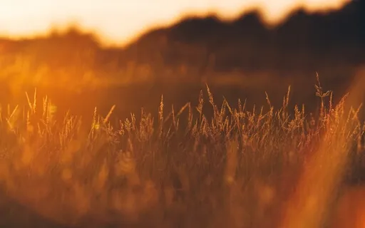 Gratitude Affirmations For Focus And Grounding