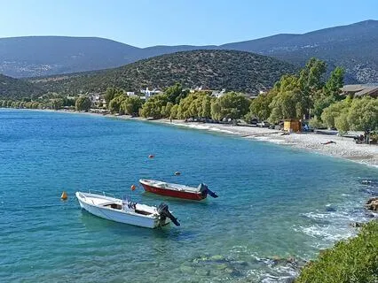 Gratitude Affirmations To Start The Day