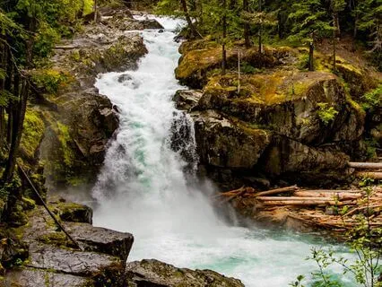 Gratitude Affirmations