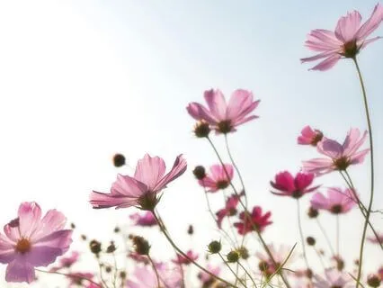 Gratitude And Abundance