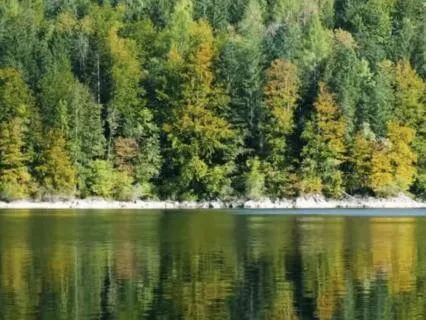 Gratitude And Appreciation For Yourself