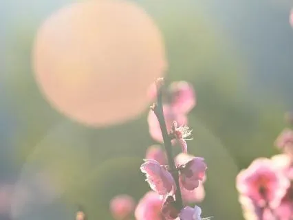 Gratitude And Awareness | The 55 Method