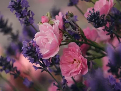 Gratitude & Blessings