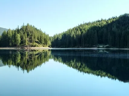 Gratitude And Compassion