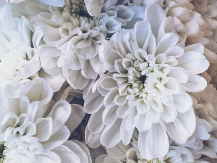 Gratitude And Grace - A Meditation On Letting It Be Good