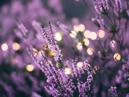 Gratitude & Grounding