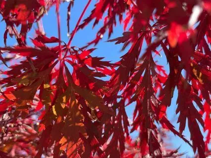 Gratitude And Grounding