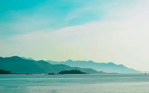 Gratitude & Happiness Meditation