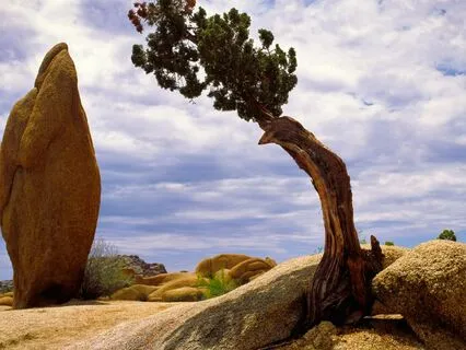 Gratitude And Humility Meditation