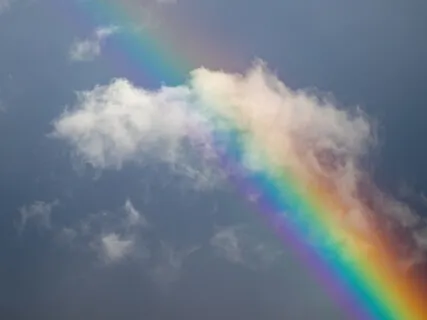 Gratitude & Manifestation