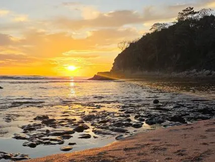 Gratitude And Release