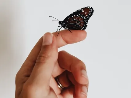 Gratitude Around You