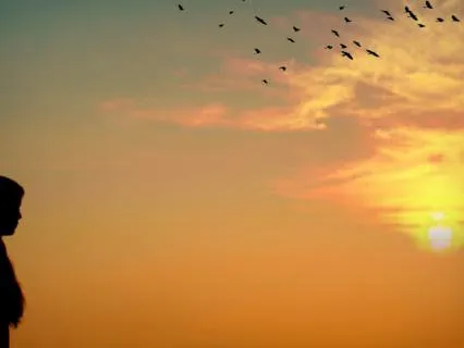Gratitude As A Healer