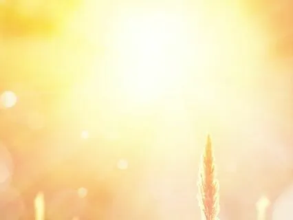 Gratitude Bliss: A Meditation For Thankfulness