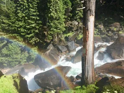 Gratitude Blossoms: Cultivating Abundance Within