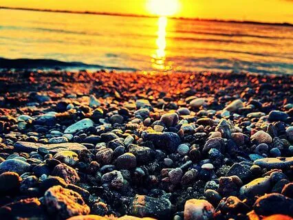 Gratitude Infused Body Scan